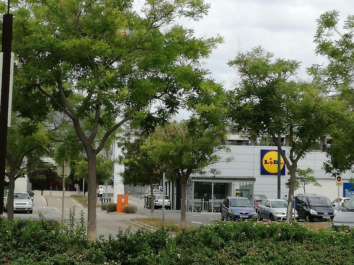 Primera Linea De Mar Con Piscina En Ebrehogar